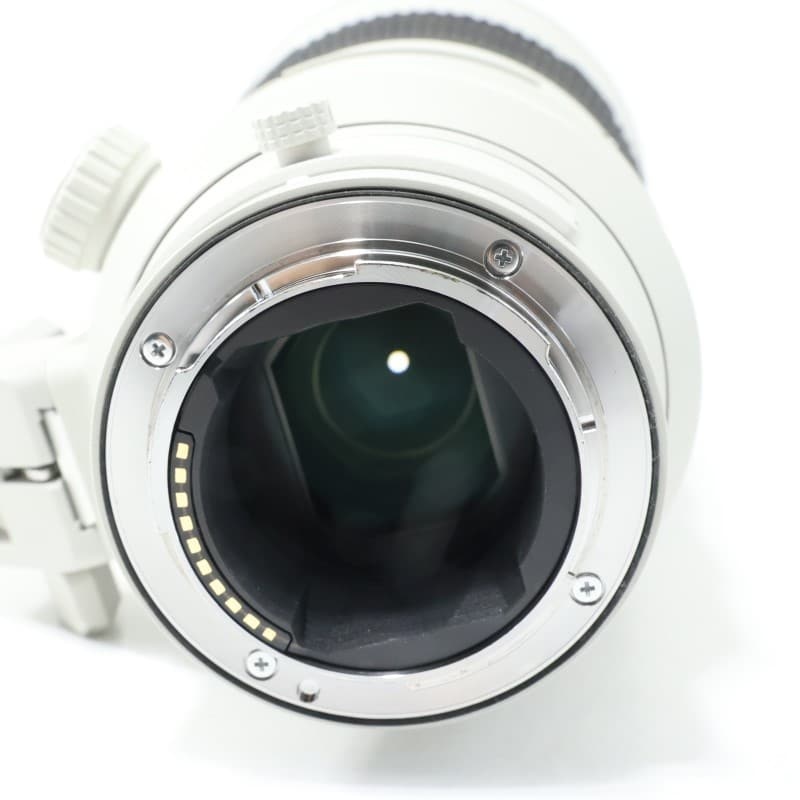 FE 300mm F2.8 GM OSS SEL300F28GM