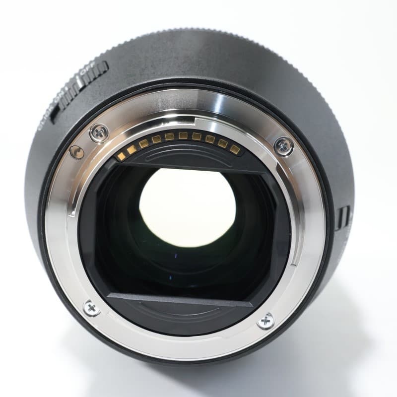 FE 28-70mm F2 GM SEL2870GM