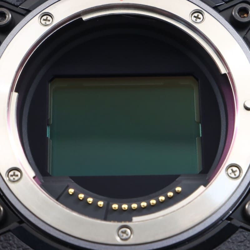 EOS C80 ボディー