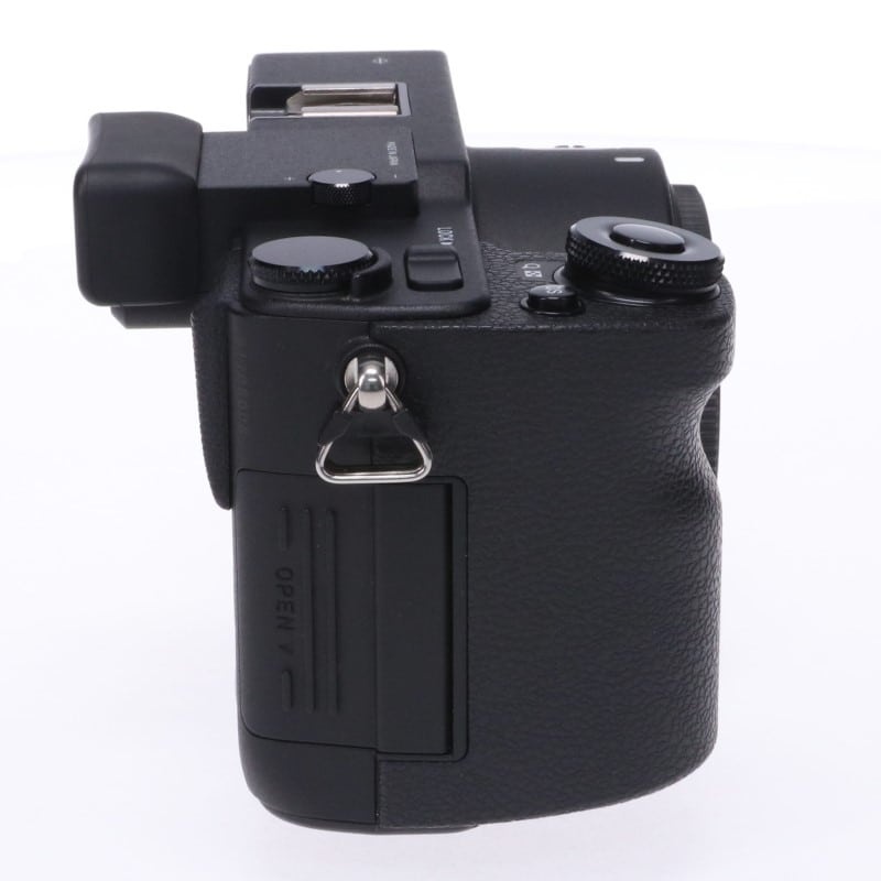 sd Quattro ボディ