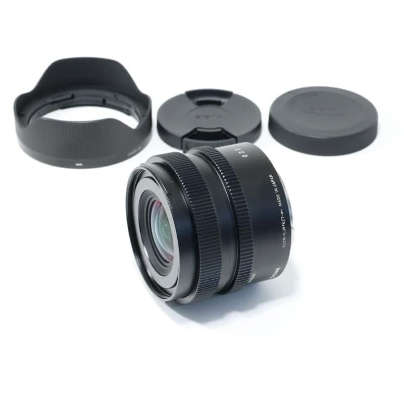 17mm F4 DG DN | Contemporary ソニーE