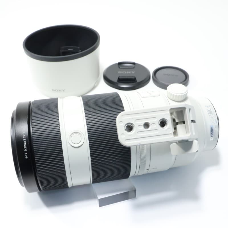 FE 100-400mm F4.5-5.6 GM OSS SEL100400GM