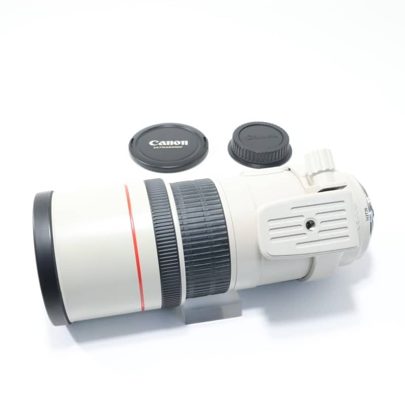 EF 300mm F4 L IS USM