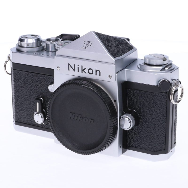 F アイレベル 後期 シルバー