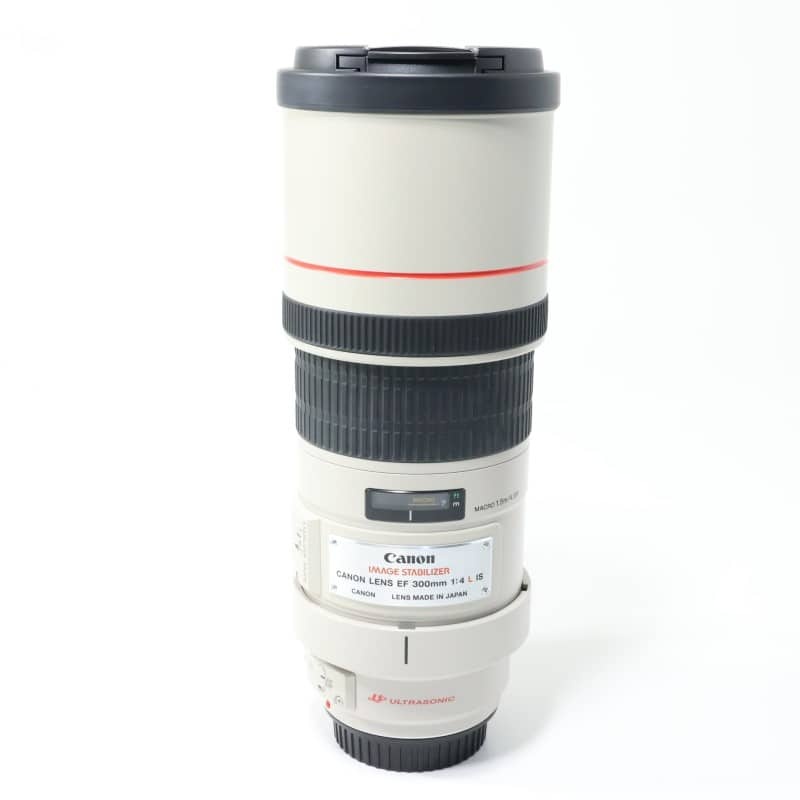 EF 300mm F4 L IS USM