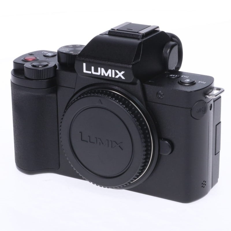 LUMIX G100 ボディ DC-G100