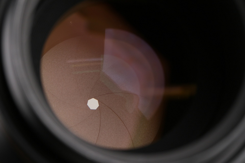 Nikon AF Micro Nikkor 105mm F/2.8 Lens #61445A5