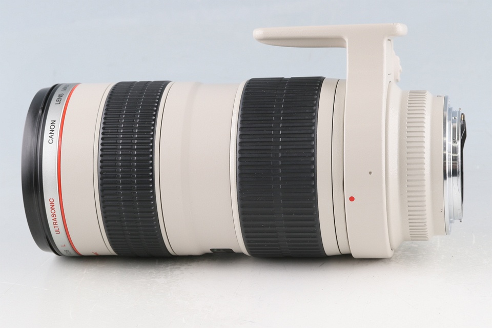 Canon EF 70-200mm F/2.8 L USM Lens #62469F6