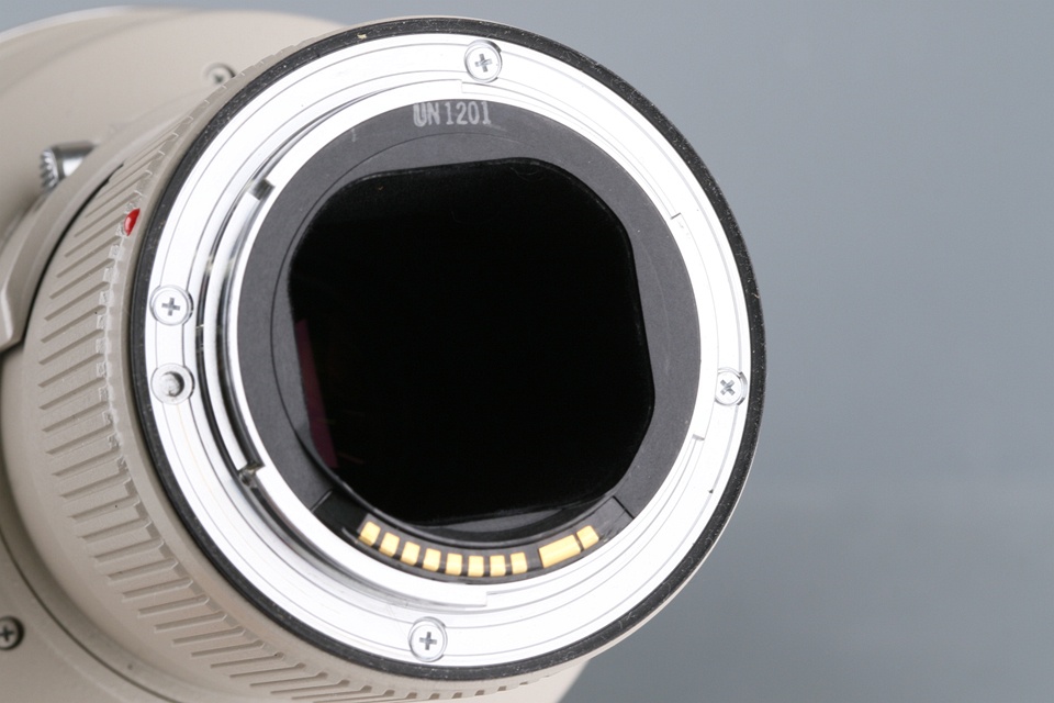 Canon EF 600mm F/4 L IS USM Lens #62986L