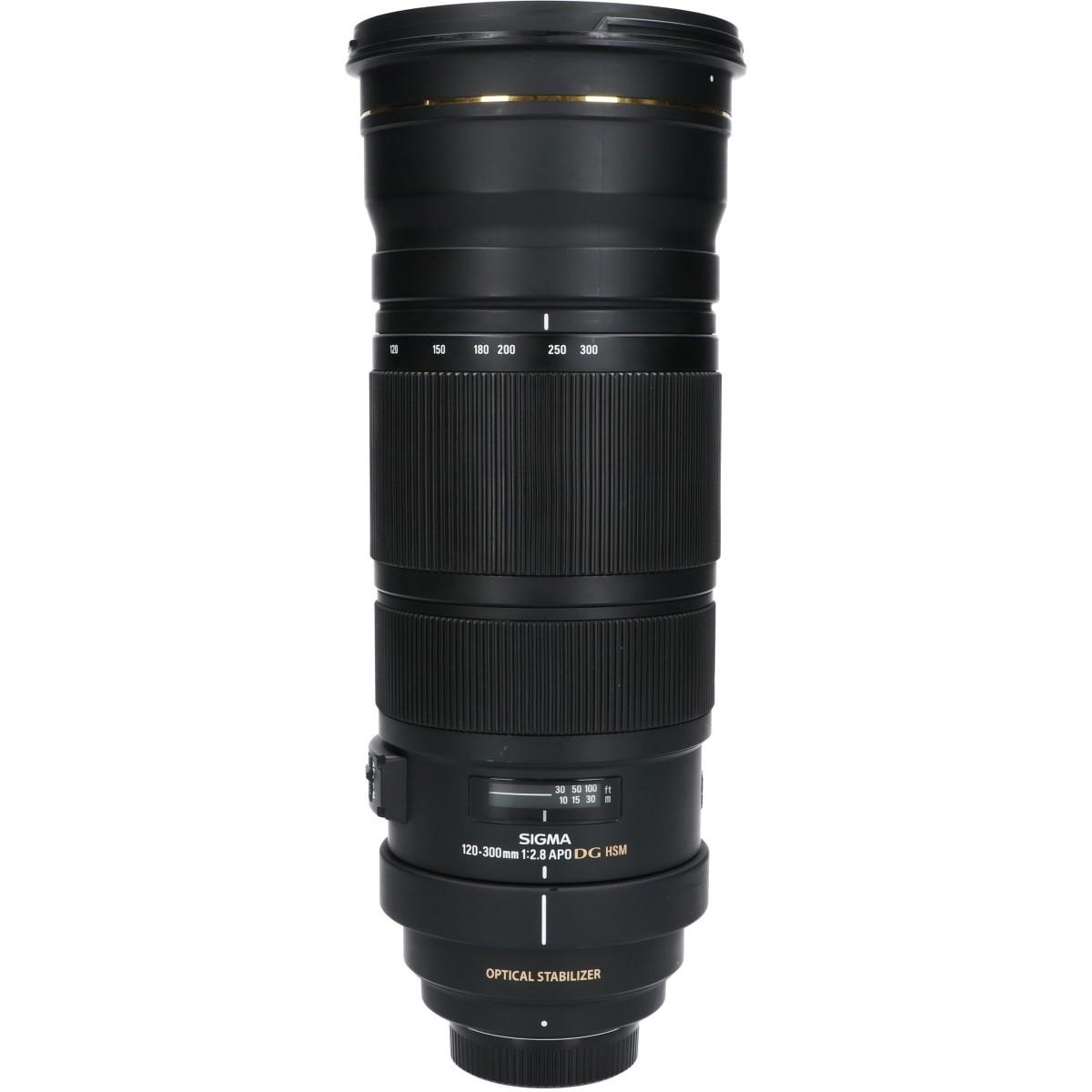 ニコン120-300/2.8EX DG OSHSM