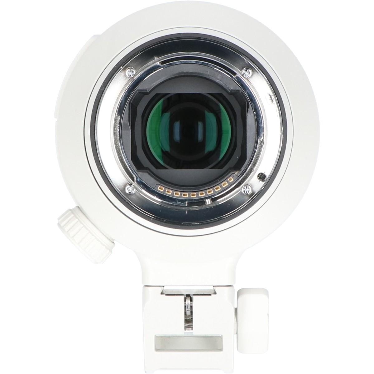 FE100-400/4.5-5.6GM OSS