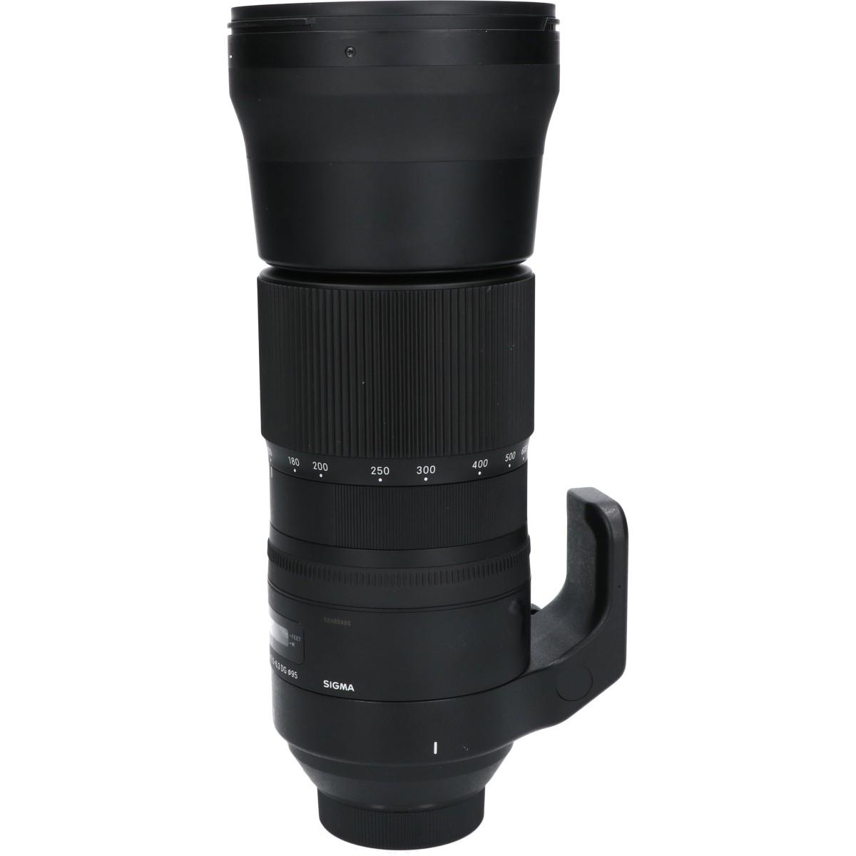 ニコン(C)150-600/5-6.3DG OS