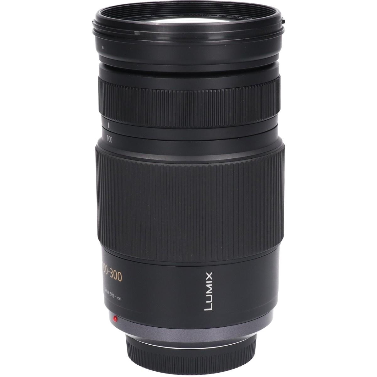 G100-300/4-5.6MEGA OIS