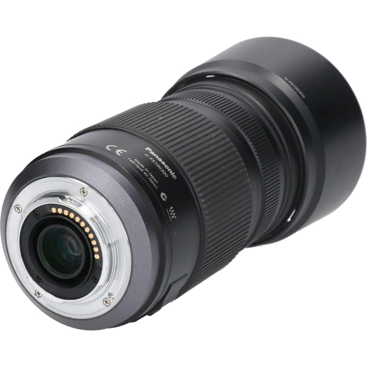 G100-300/4-5.6MEGA OIS