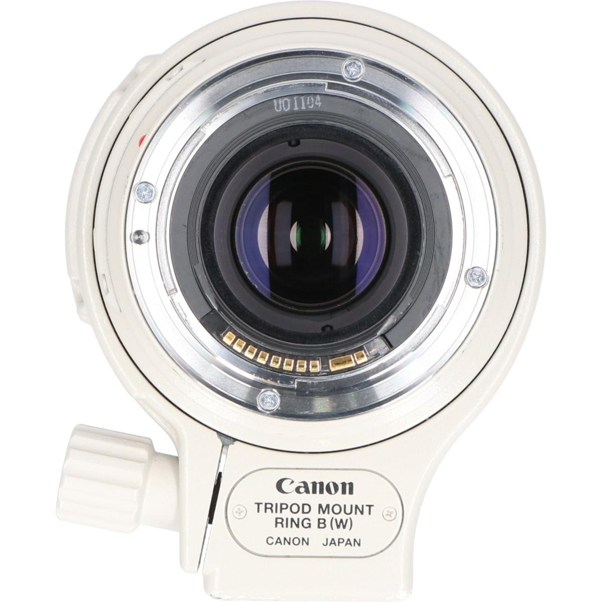 EF100-400/4.5-5.6L IS USM