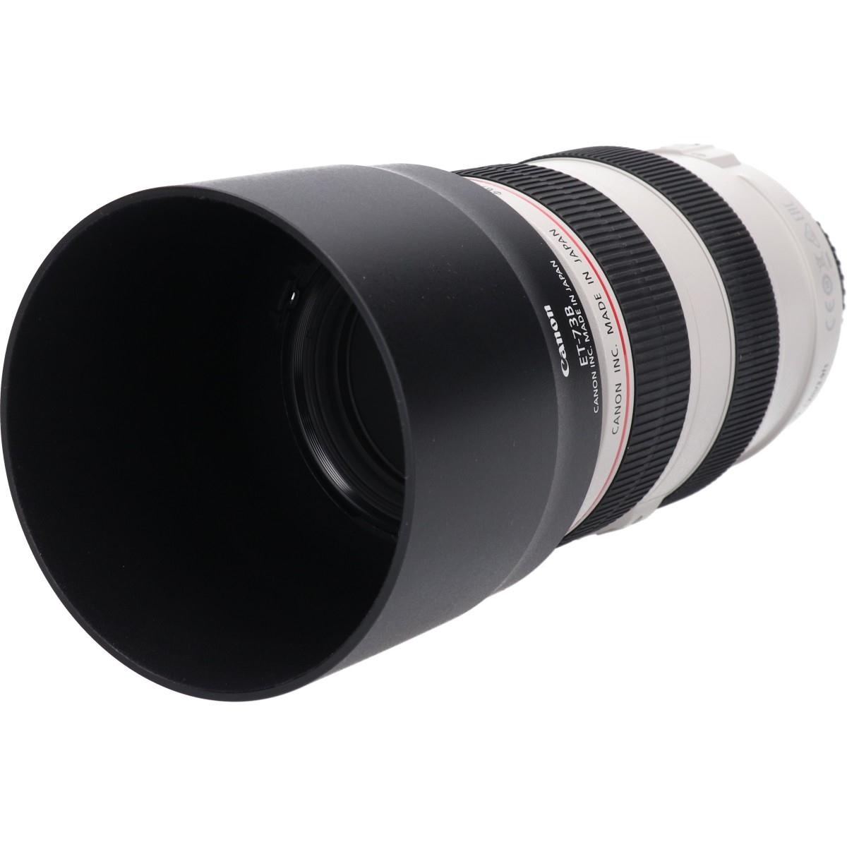 EF70-300/4-5.6L IS USM