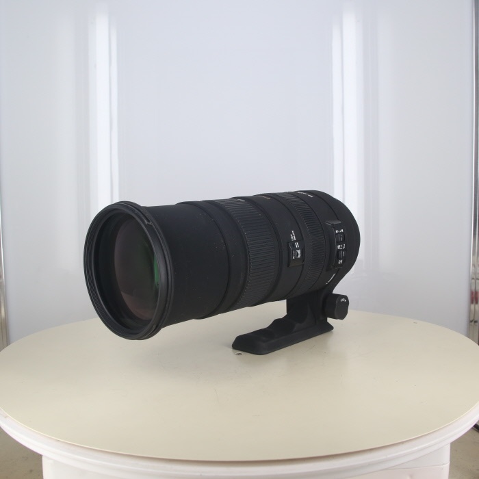 シグマ AF150-500/5-6.3APO OS HSM(ニコンF)