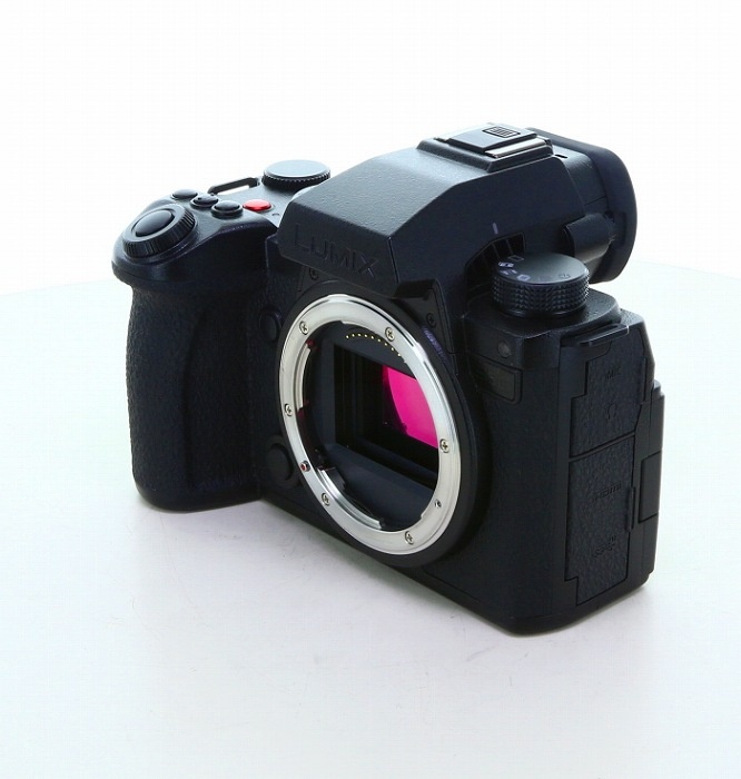 パナソニック LUMIX S5IIX ボディ DC-S5M2X ブラック