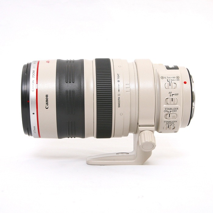キヤノン EF28-300/3.5-5.6L IS USM