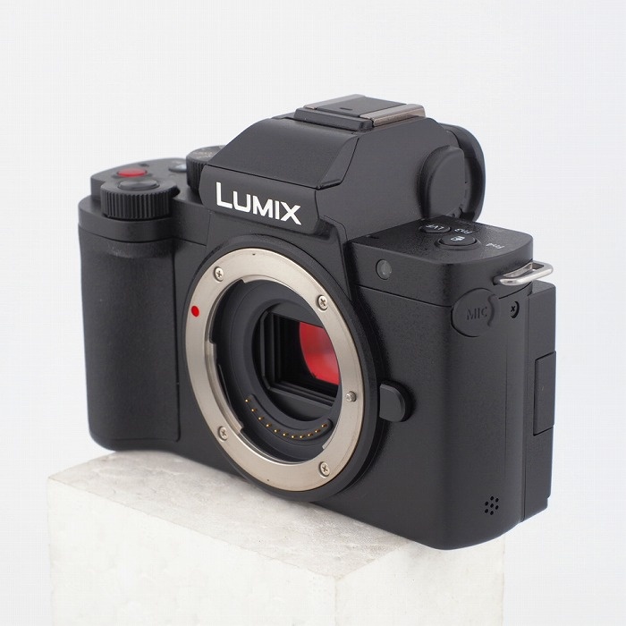 パナソニック DC-G100