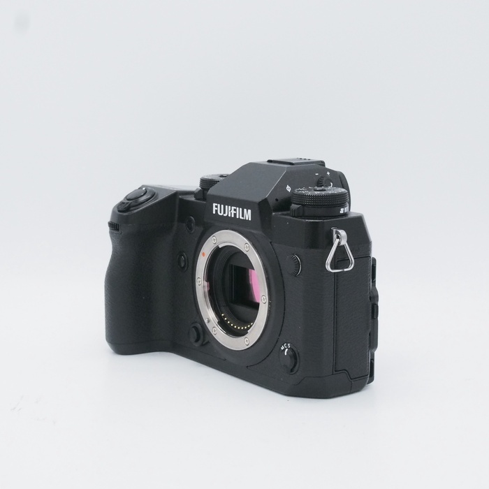 フジフイルム X-H1 ボデイ