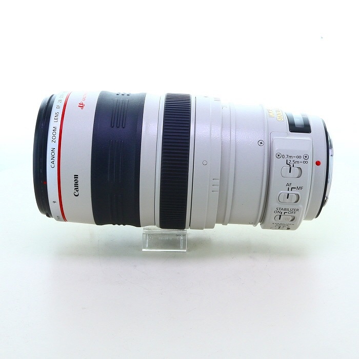 キヤノン EF28-300/3.5-5.6L IS USM