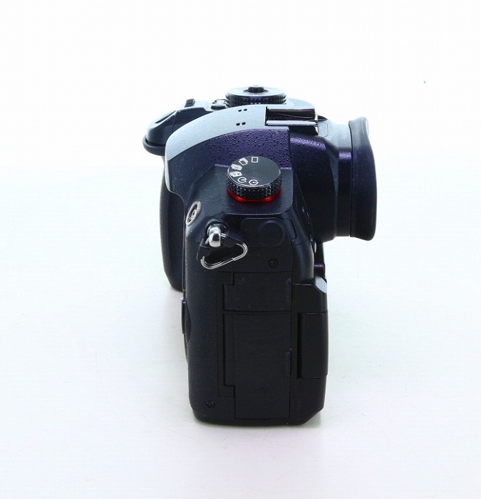 パナソニック GH5S(海外版)