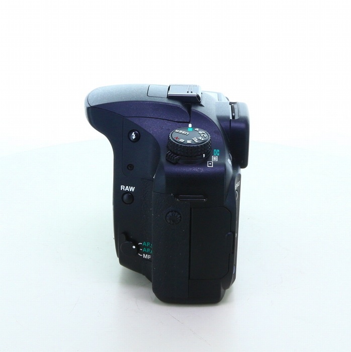 ペンタックス K20D ボデイ