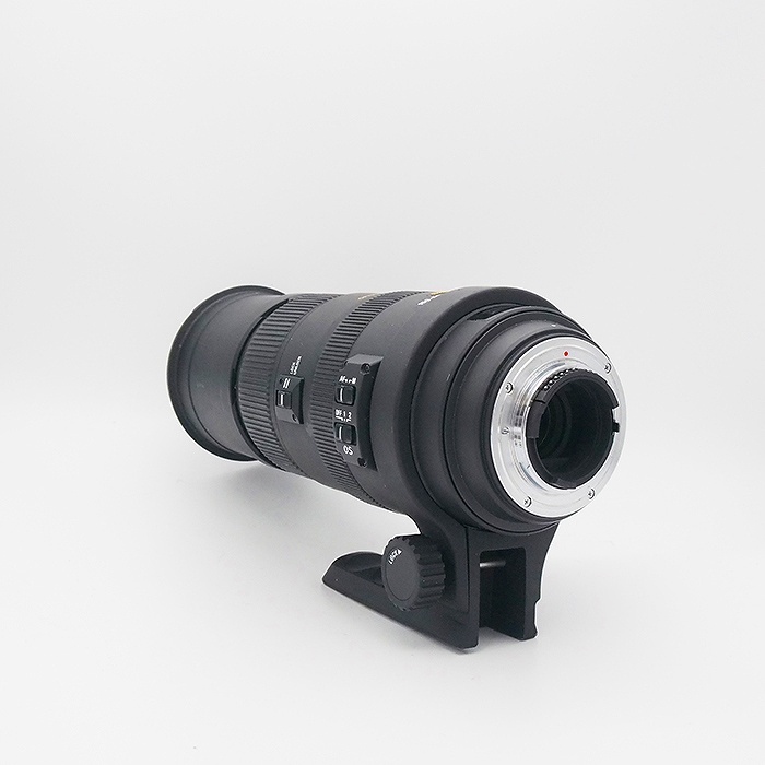 シグマ APO150-500/5-6.3 DG OS HSM NA ニコン用