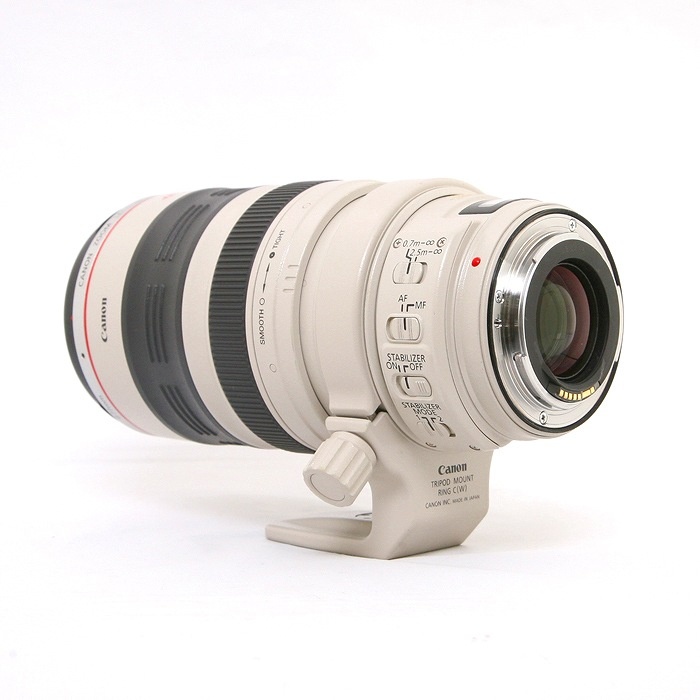 キヤノン EF28-300/3.5-5.6L IS USM