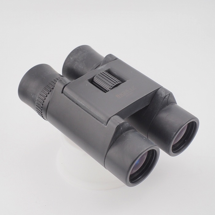 ビクセン APEX 8x24 6.2°(旧)