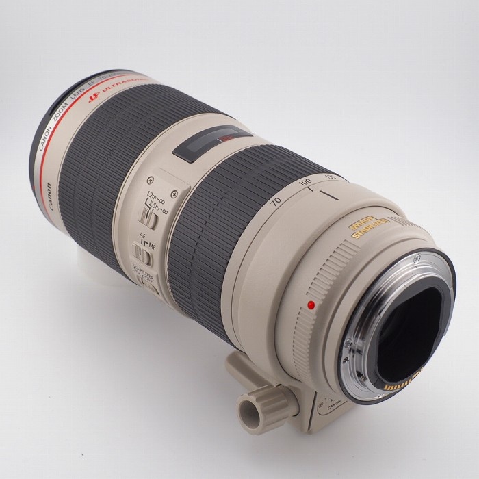 キヤノン EF70-200/2.8L IS II USM