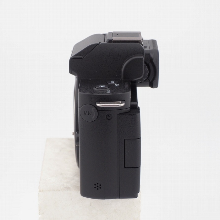 パナソニック DC-G100