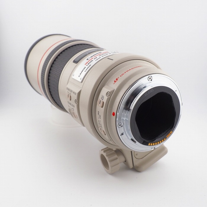 キヤノン EF300/4L IS USM