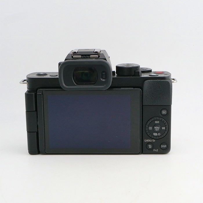 パナソニック DC-G100V