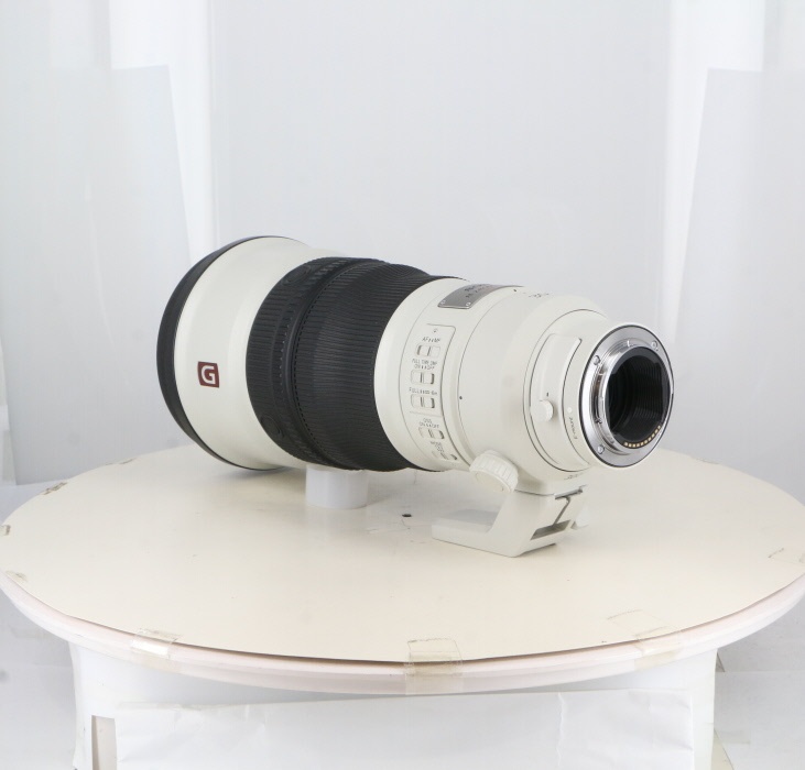 ソニー FE300/2.8 GM OSS