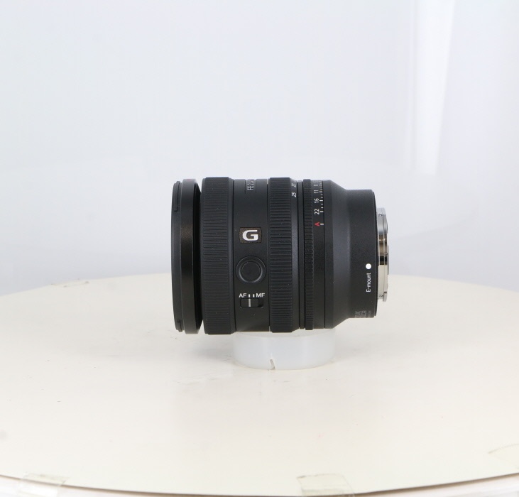 ソニー FE16-25/2.8 G