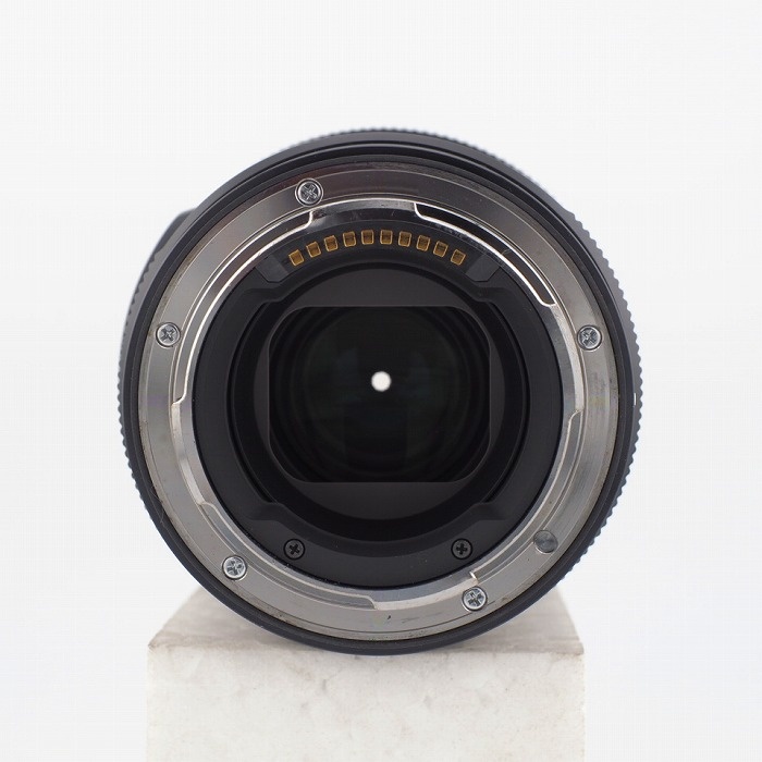 シグマ Art105/2.8 DG DN MACRO TL