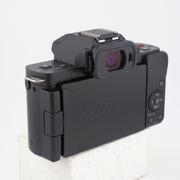 パナソニック DC-G100