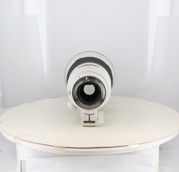 ソニー FE300/2.8 GM OSS