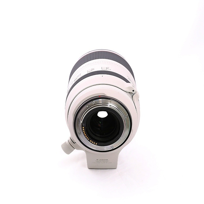 キヤノン RF100-500/4.5-7.1L IS USM