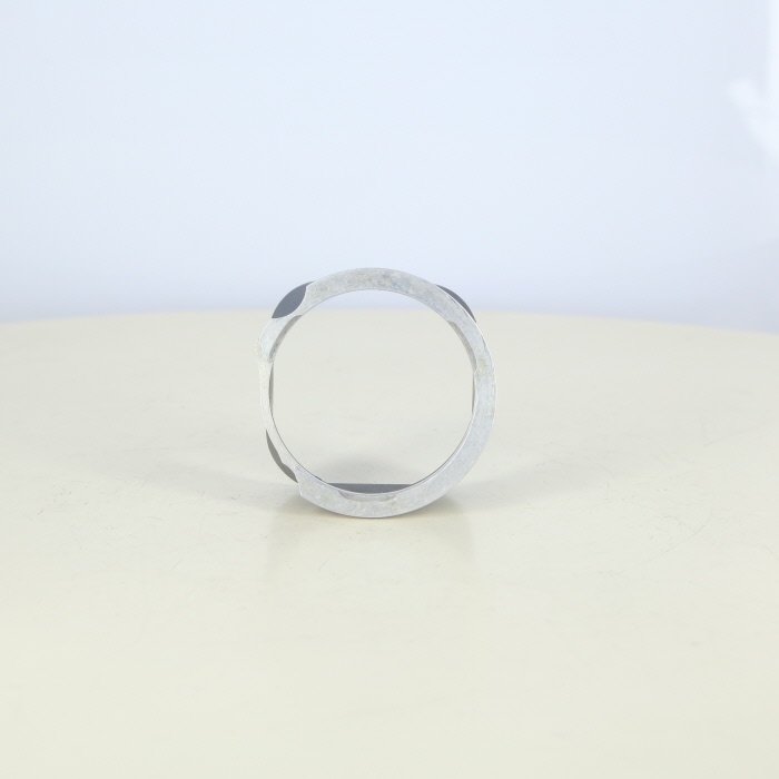 ローライ R II メタルフード