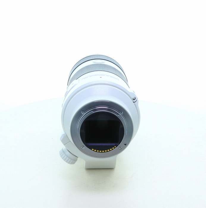 ソニー FE70-200/4 G OSS
