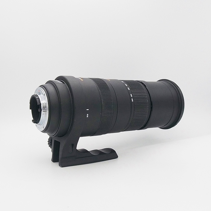 シグマ APO150-500/5-6.3 DG OS HSM NA ニコン用