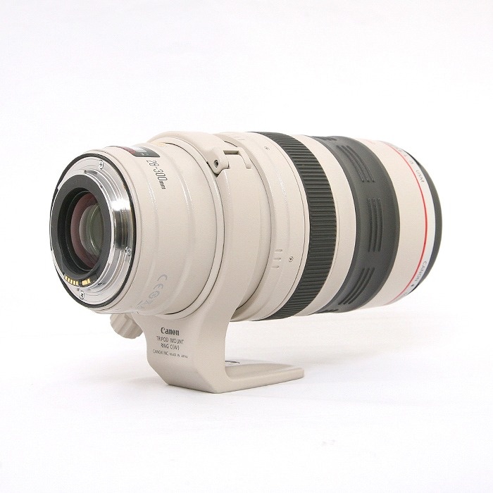 キヤノン EF28-300/3.5-5.6L IS USM