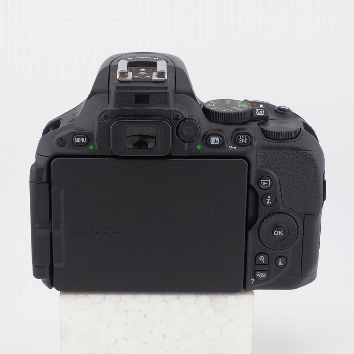 ニコン D5500