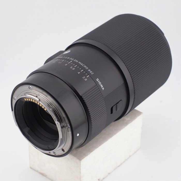 シグマ Art105/2.8 DG DN MACRO TL
