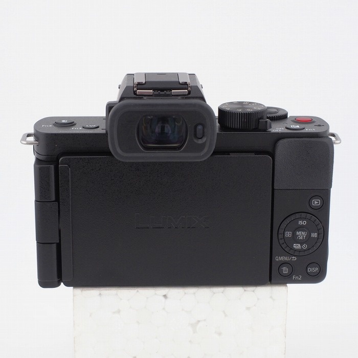 パナソニック DC-G100