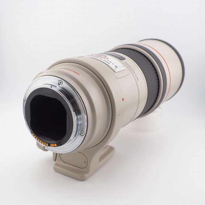 キヤノン EF300/4L IS USM