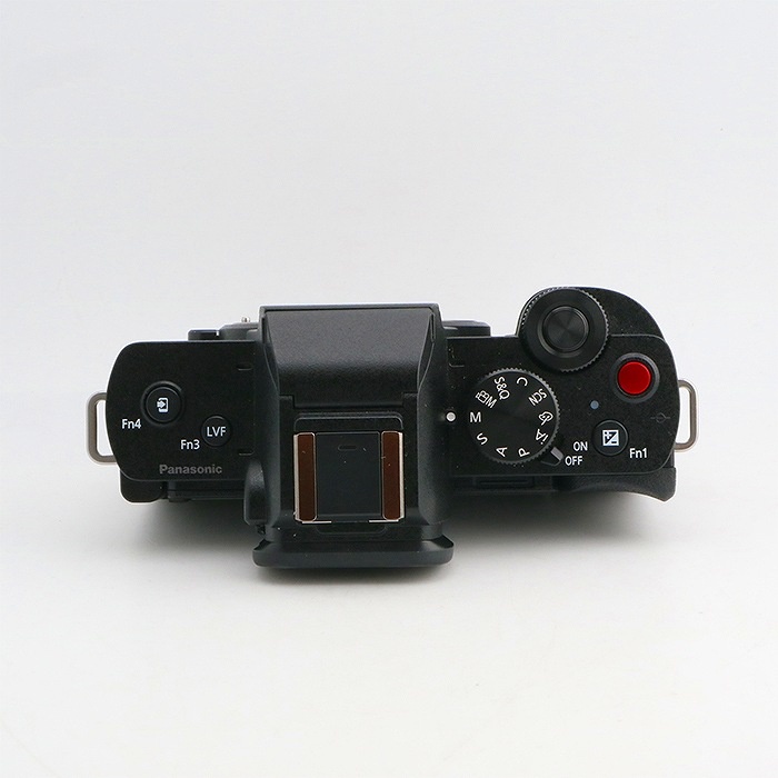 パナソニック DC-G100V